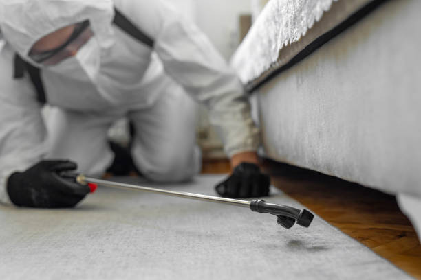 Professional Pest Control technician working in Hernando Beach, FL
